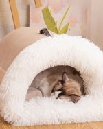 The Deep Sleep Cave Nest